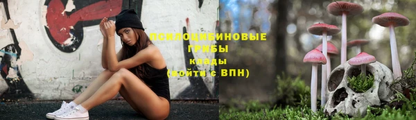 прущий лед Няндома